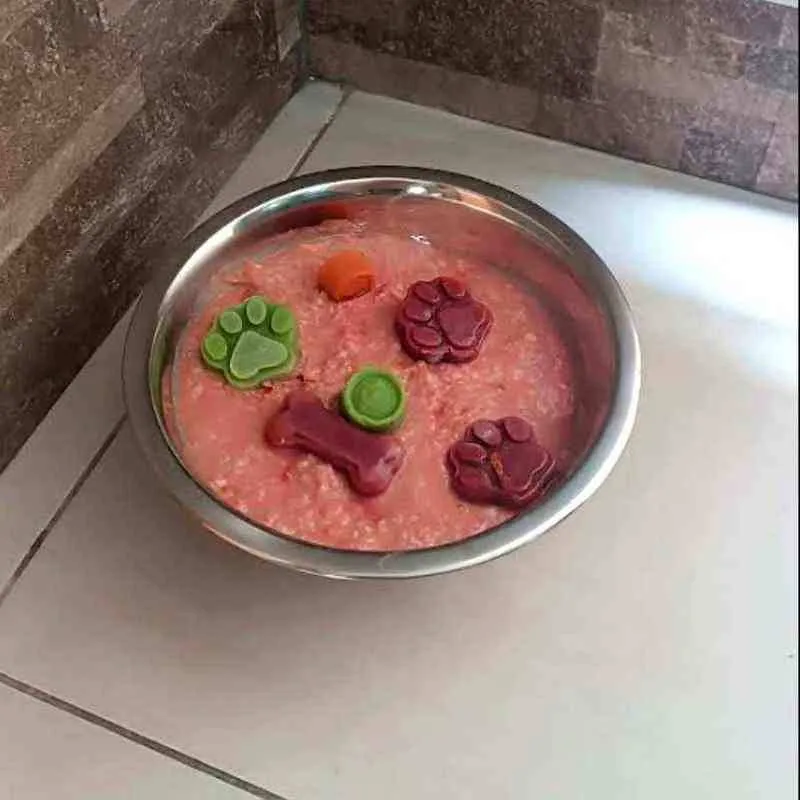 Comida natural para perros en Tumbaco