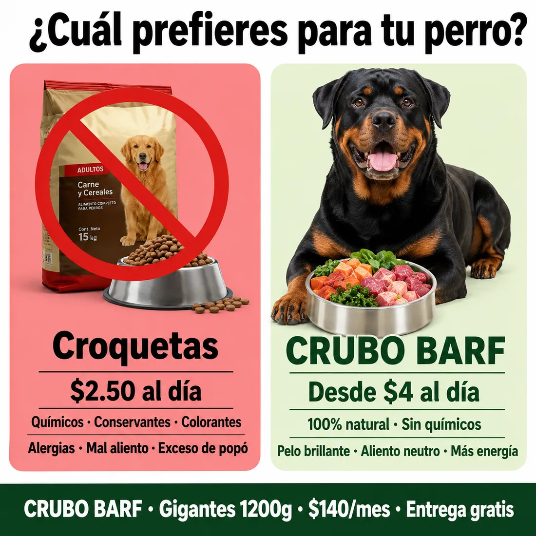 BARF a domicilio en Quito: cómo funciona